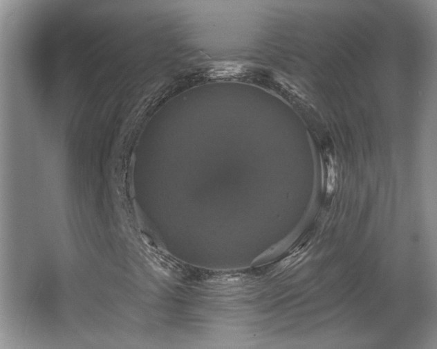 X0000066011441200603031211