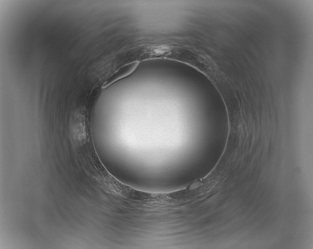 X0000066011442200603031211