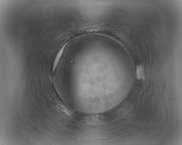 X0000066011444200603031211