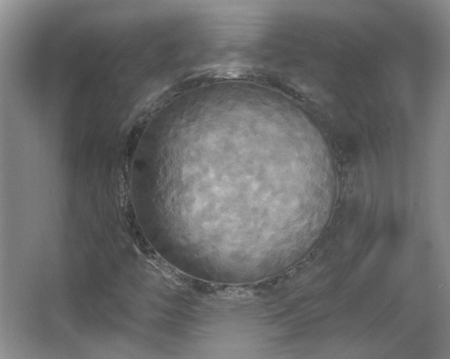 X0000066011446200603031210