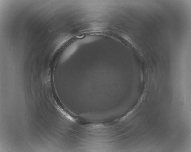 X0000066011450200603031210