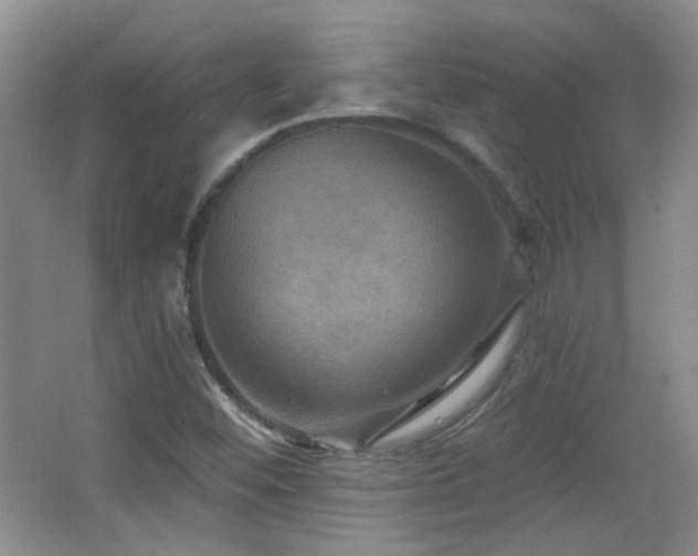 X0000066011452200603031210