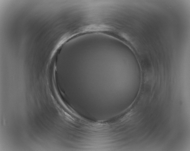 X0000066011459200603031210