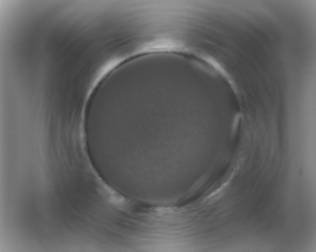 X0000066011469200603031210
