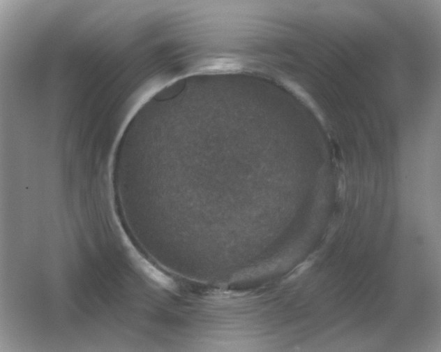 X0000066011475200603031210