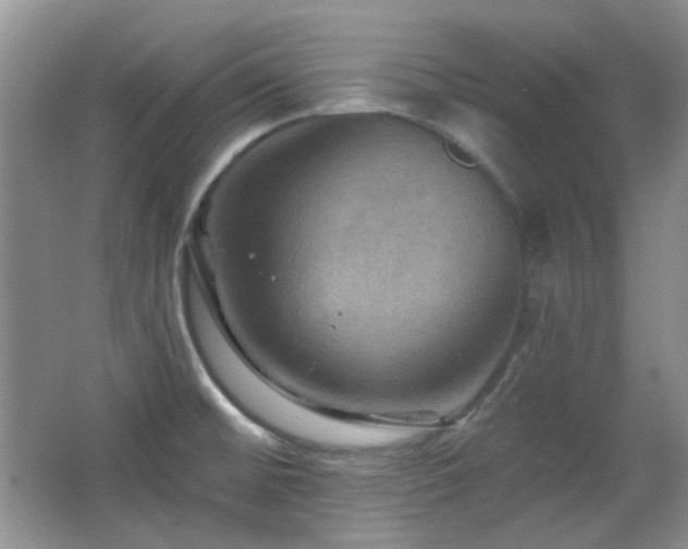 X0000066011476200603031210
