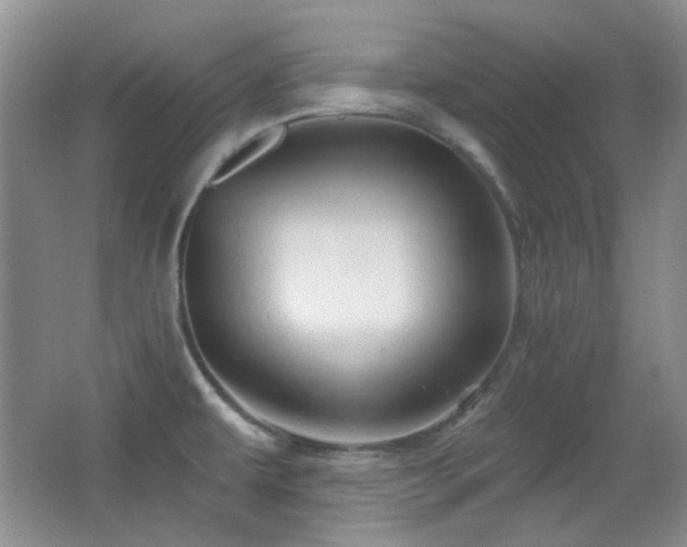 X0000066011479200603031210