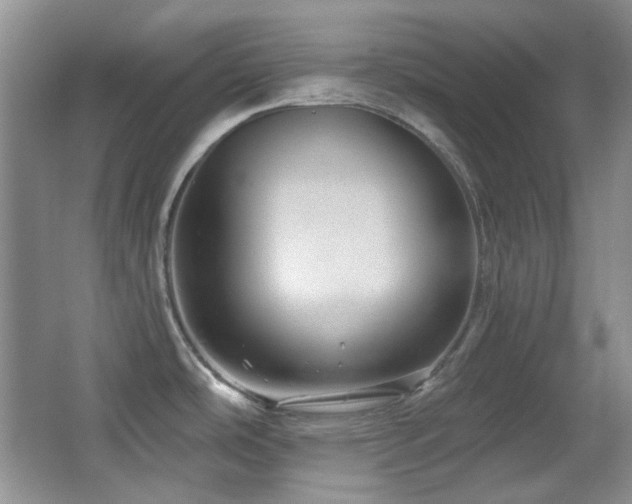 X0000066011486200603031210