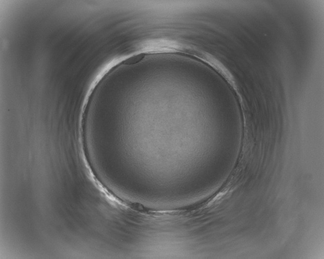 X0000066011488200603031210