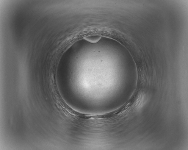 X0000066011489200603031209