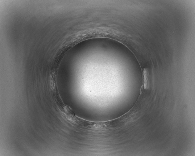 X0000066011491200603031209