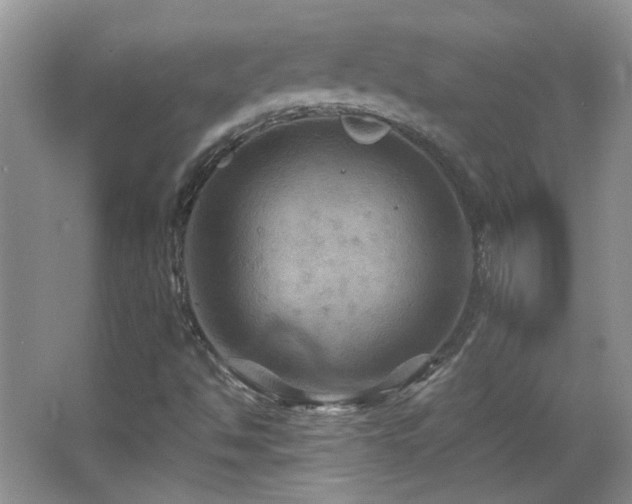 X0000066011494200603031209