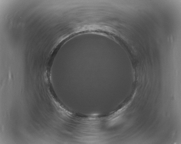 X0000066011497200603031209