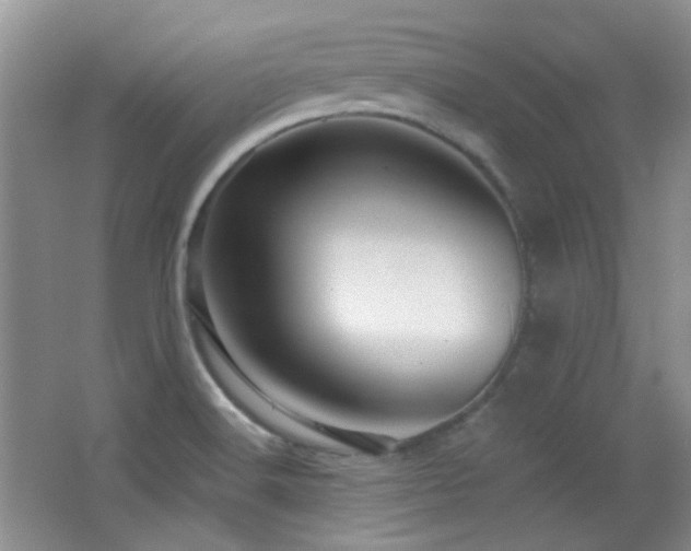 X0000066011516200603031209