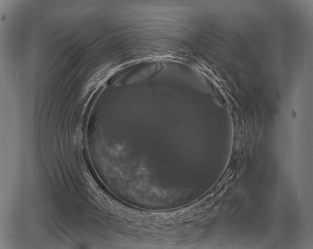 X0000066010002200603061309