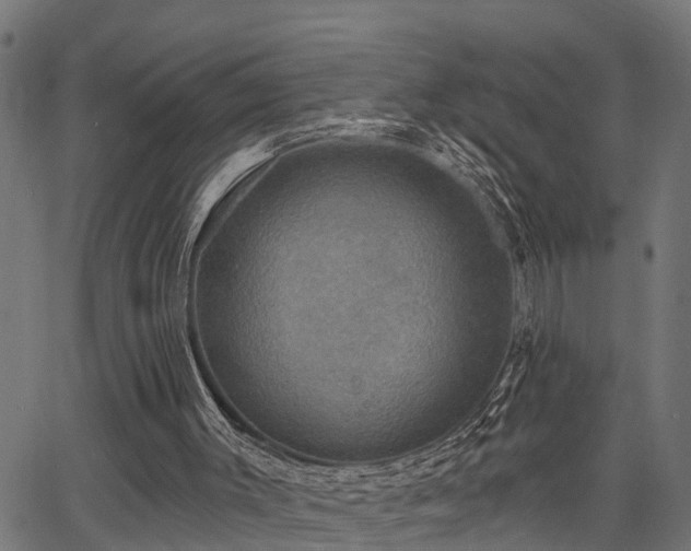 X0000066010003200603061309