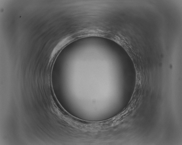 X0000066010004200603061309