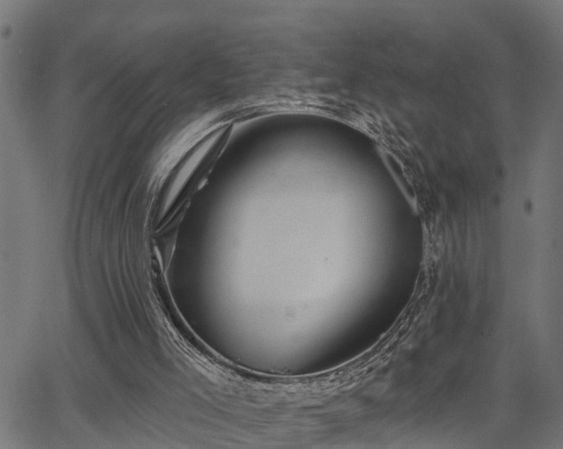 X0000066010005200603061309