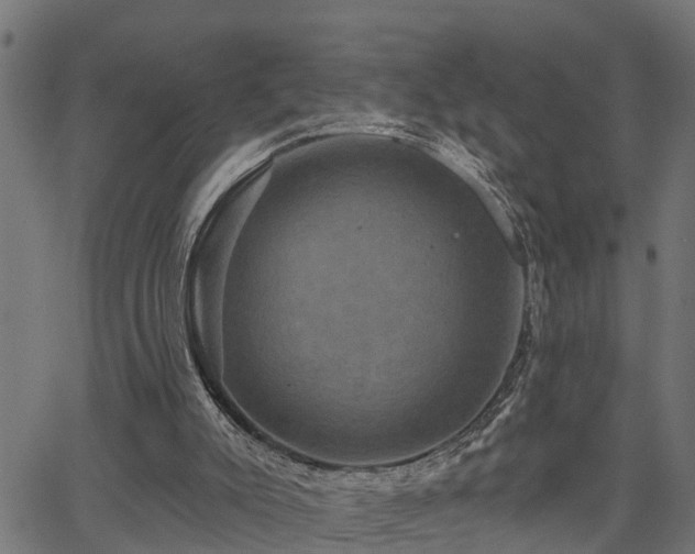 X0000066010007200603061309