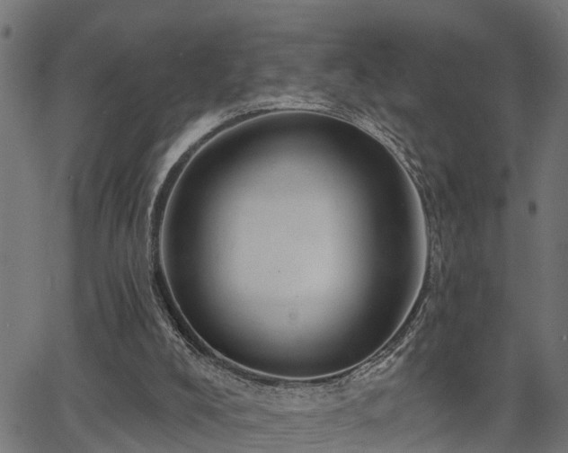 X0000066010008200603061309