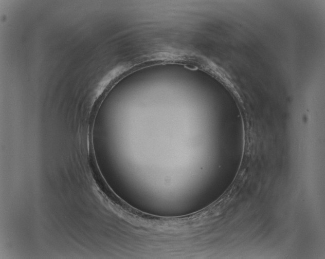 X0000066010011200603061309