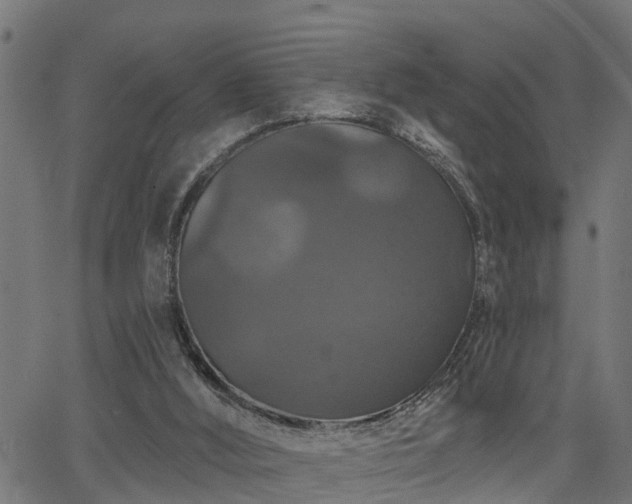 X0000066010012200603061309