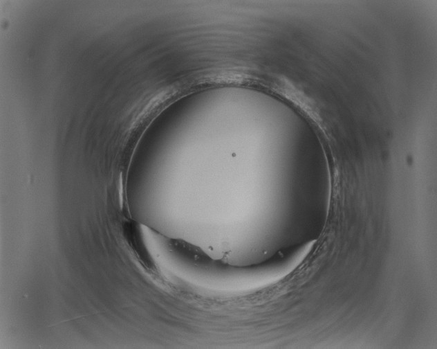 X0000066010013200603061309