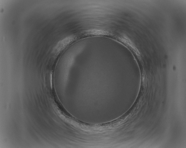 X0000066010014200603061309