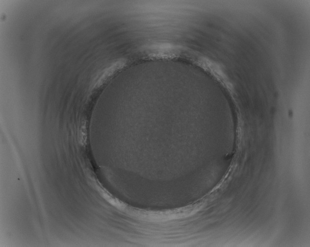 X0000066010017200603061309