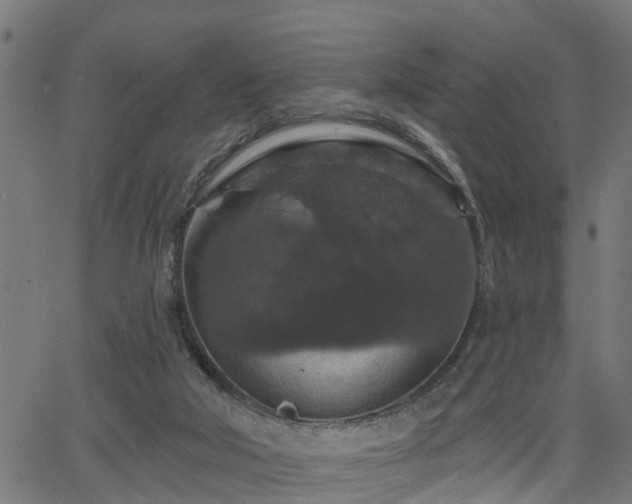 X0000066010018200603061309