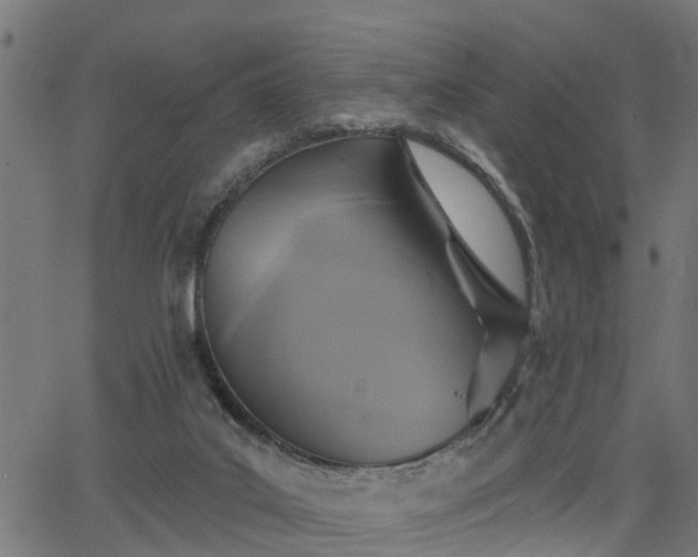 X0000066010019200603061309