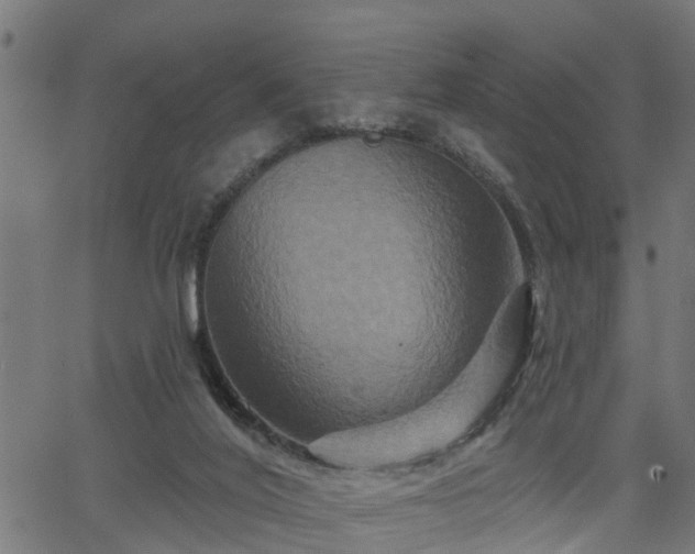 X0000066010020200603061309