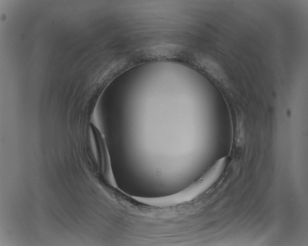 X0000066010021200603061309