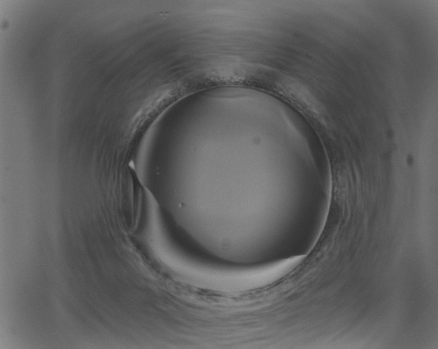 X0000066010023200603061309