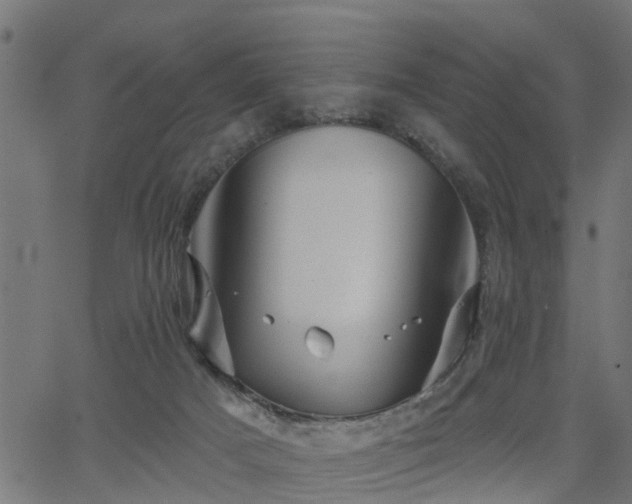 X0000066010025200603061309