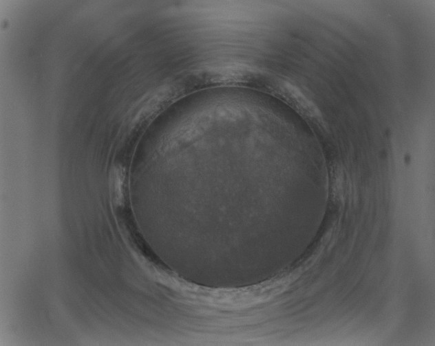 X0000066010026200603061309