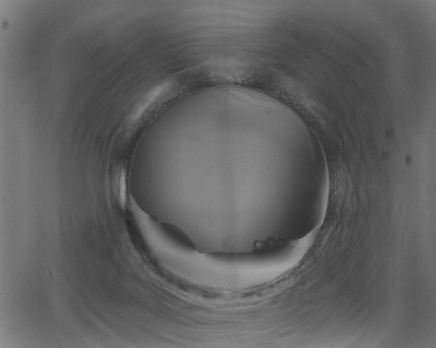 X0000066010027200603061309