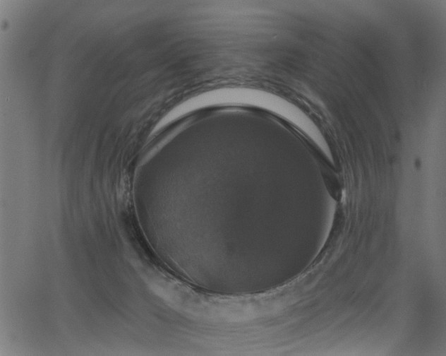 X0000066010029200603061309