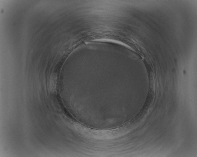 X0000066010030200603061309