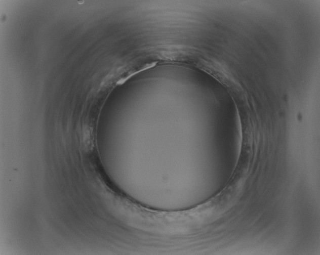 X0000066010031200603061309