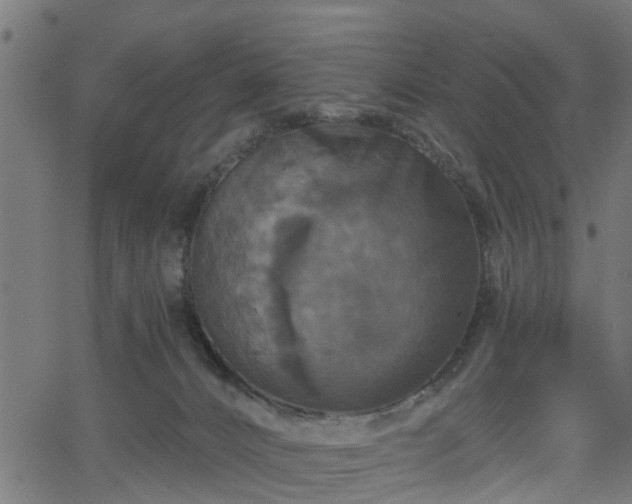 X0000066010032200603061309