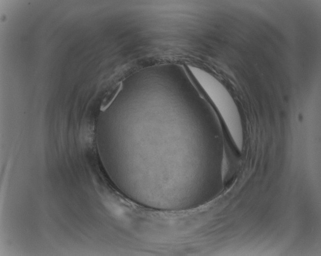 X0000066010033200603061309