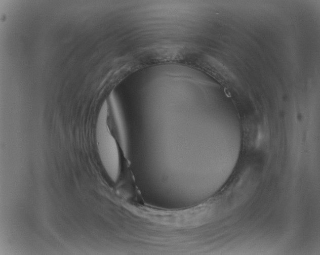 X0000066010035200603061308