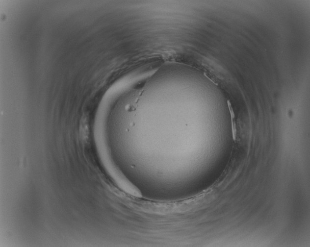 X0000066010037200603061308