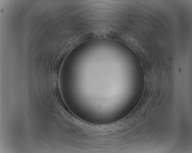 X0000066010038200603061308