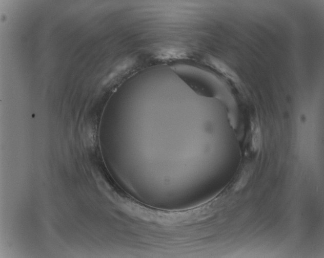 X0000066010039200603061308