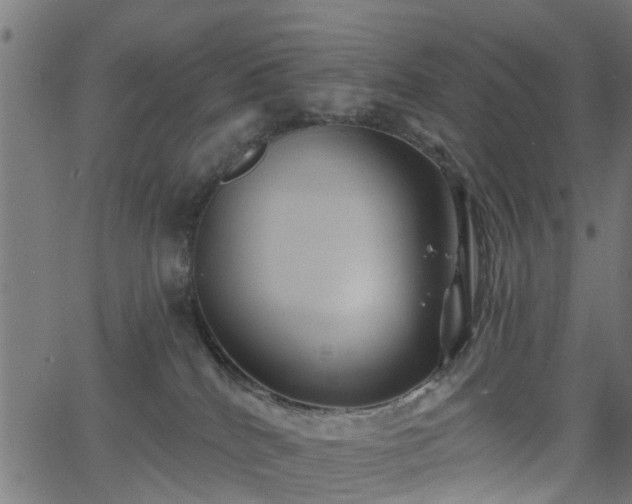 X0000066010040200603061308