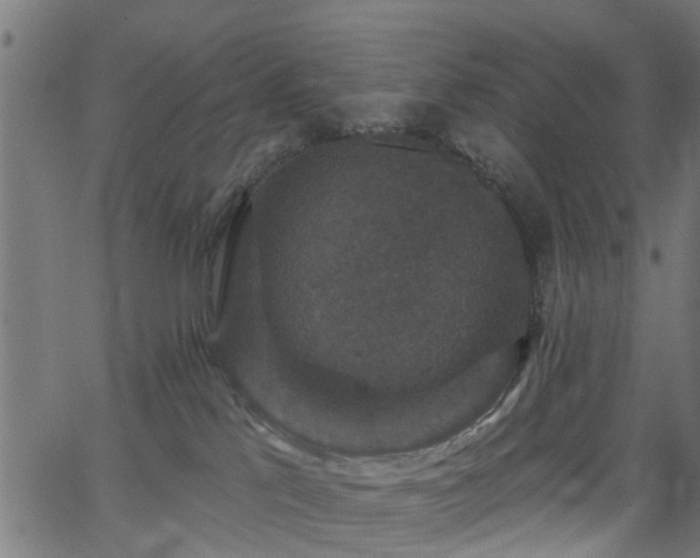 X0000066010041200603061308