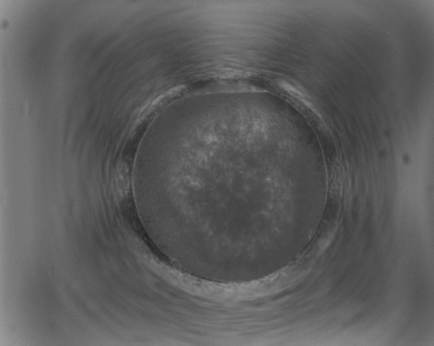 X0000066010043200603061308