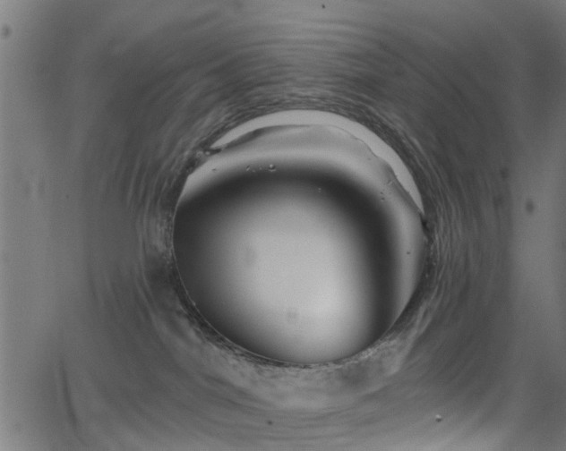 X0000066010044200603061308